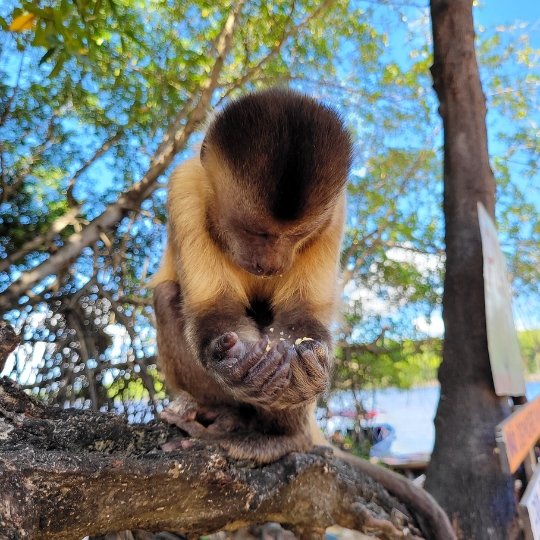 Design sem nome (23)